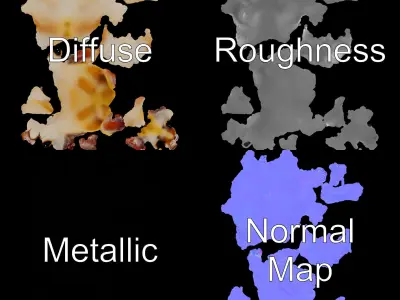 Fennec Fox D Model Pack for Animation and Games Low-poly 3D model