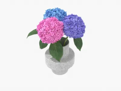 Hydrangea Flower Set 3D model
