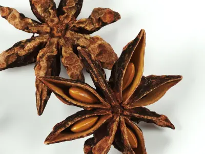 POLYPASTA - Star anice 01 3D model