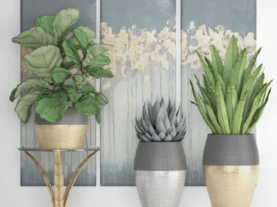 collection luxury plants 3D model