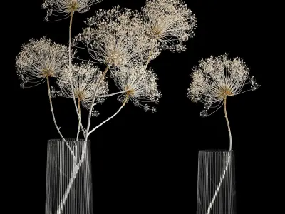 Set Of Bouquets Of Dried Flowers And Pampas Grass 280 3D model