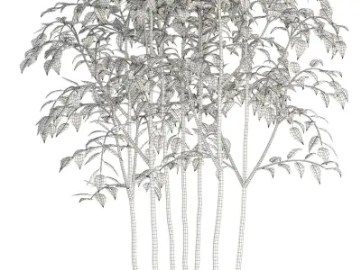 Plants collection 84 3D model