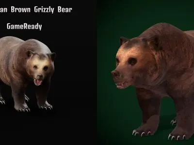 Grizzly Brown Bear 3D model