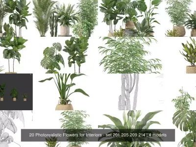 20 Photorealistic Flowers for Interiors - set 201 205 209 214 3D Model Collection