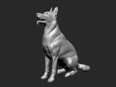 German Shepherd Dog - Low and High poly Model 3D model 3D model