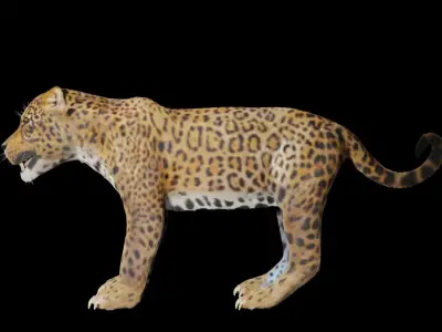 ounce for game 3D model