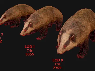 Badger Low-poly 3D model