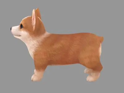 Cartoon pet puppy - Corgi - baby dog Low-poly 3D model