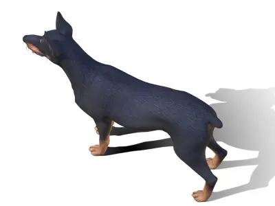 Dog - Doberman Low-poly 3D model