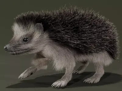 Realistic Animated Hedgehog 3D model