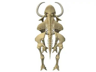 Mammoth Skeleton 3D model
