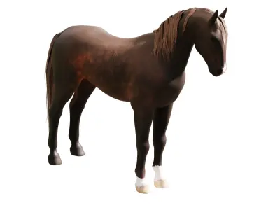 Realistic Rigged and Animated Horse 3D Model Low-poly 3D model