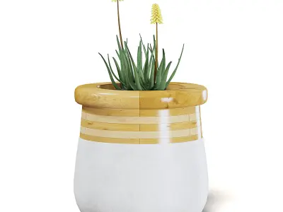 Flowers 3D Model in Large Modern Pot 3D model