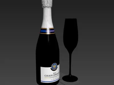 Champagne with glass 3D model