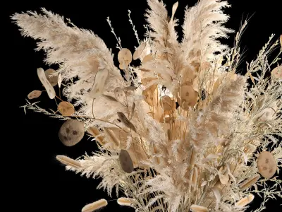 Luxury bouquet of reeds pampas grass and dried flowers 237 3D model