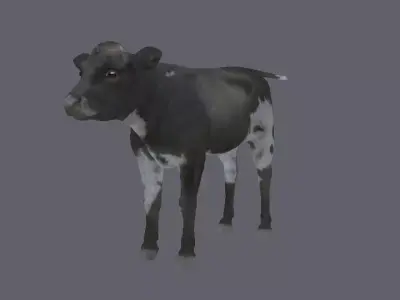3D animal cow   calf    bull maya fbx  3D model