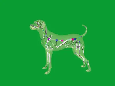 Afador Dog Low-poly 3D model