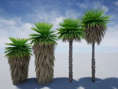 HQ Plants Volume 5 Palms for unreal engine 3D model set of 24 3D model