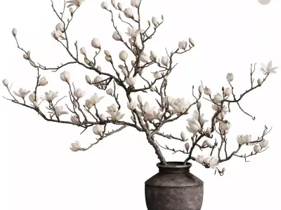 Flower In Vase Collection 12