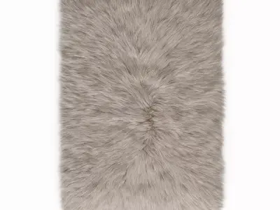 Fluffy rug with long fur 3D model
