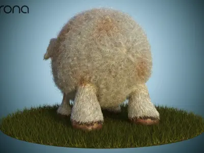 Sheep Dog for production render in Corona 3D model
