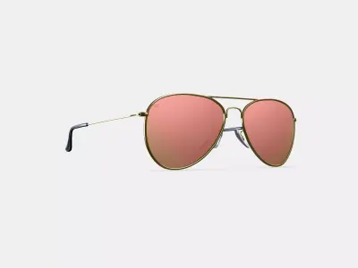 PRIVE REVAUX THE COMMANDO 20 CHAMPAGNE GOLD 3D model