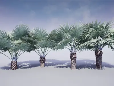 HQ Plants Volume 1 Palms for unreal engine 3D model set of 24 3D model