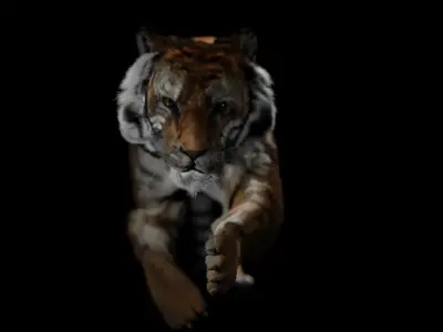 updated realistic siberian tiger 3d model 3D model