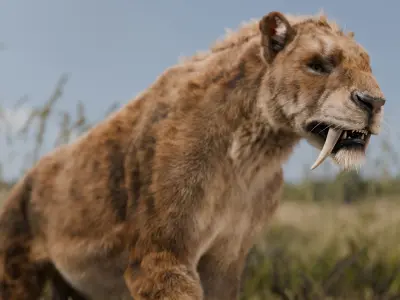 Smilodon Saber-toothed Tiger 3D model