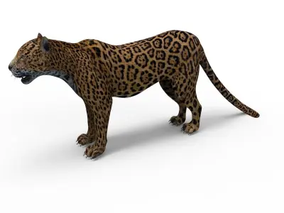 Rigged And Animated Leopard Low-poly 3D model