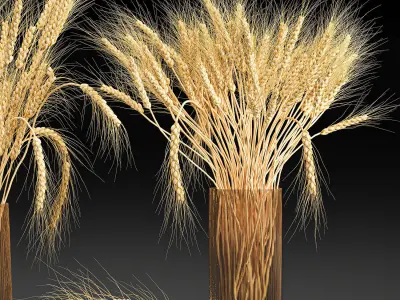 Decorative bouquet of wheat ears in a vase for decor 123 3D model