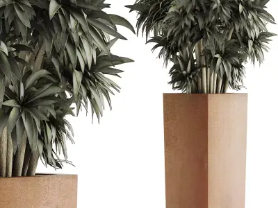 Plants Collection 45 3D model