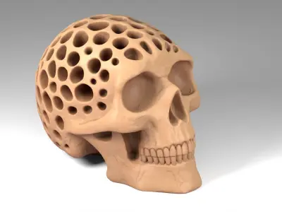 Organic Decorative Skull Figurine 3D print model
