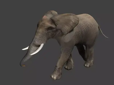 Elephant with tusks Low-poly 3D model shop