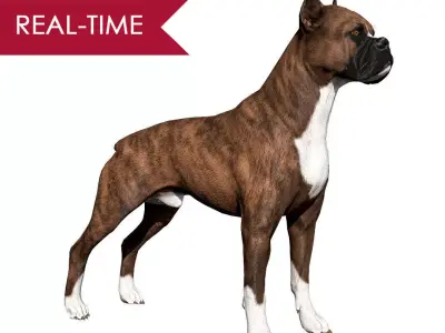 Boxer Real-Time Low-poly 3D model