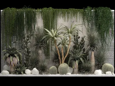 Collection Of Tropical Desert Plants From Cactus 3D model