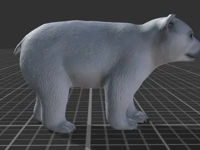 Polar Bear Cub Low-poly 3D model