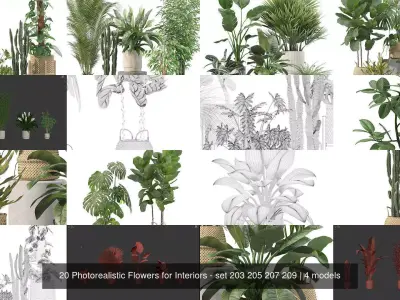 20 Photorealistic Flowers for Interiors - set 203 205 207 209 3D Model Collection