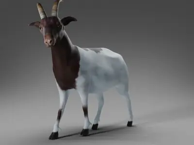 Goat 03 Rigged and Animation Low-poly 3D model