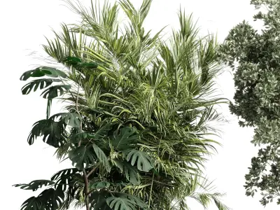 indoor plant set 452 plant bush monstera tree vase dirty  3D model