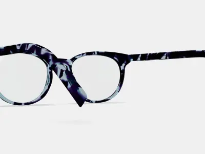 Sadie Eyeglasses in Riverbed Tortoise 3D model