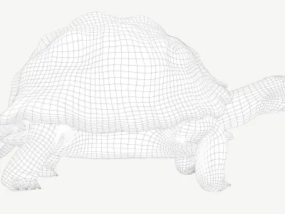 Radiated Tortoise Low-poly 3D model