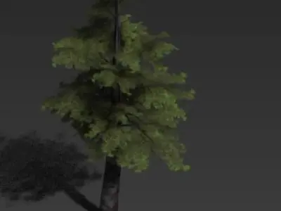 arbores Low-poly 3D model