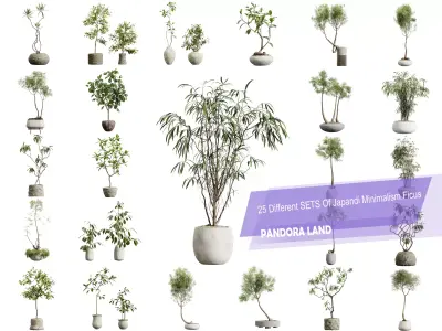 AV 25 Different SETS Of Japandi Minimalism Ficus 3D Model  3D Model Collection