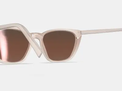 Janelle Sunglasses in Praline 3D model