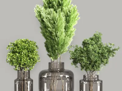 Collection Plants Bouquet Indoor 01 3D model