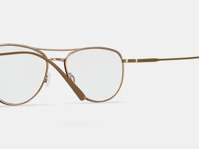 Sanaa Eyeglasses in Polished Gold with Oak Barrel 3D model