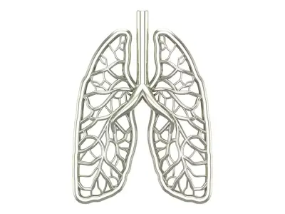 lungs pendant 3D print model