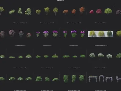 Maxtree Plant Models Vol 23 - Mesh 3D model