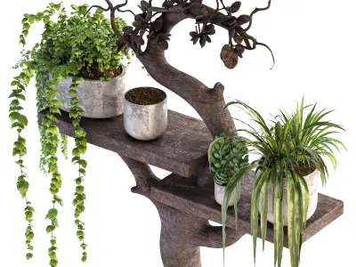 Wooden Shelf Planter 3D model